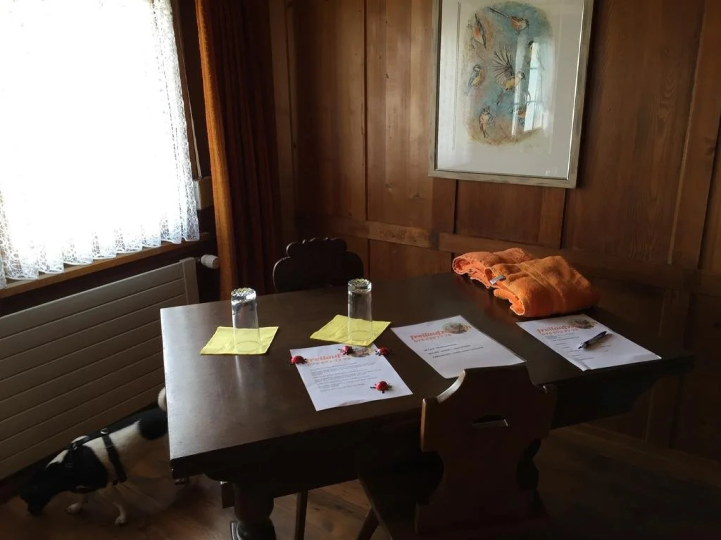 Wohlfühloase für Mensch und Hund