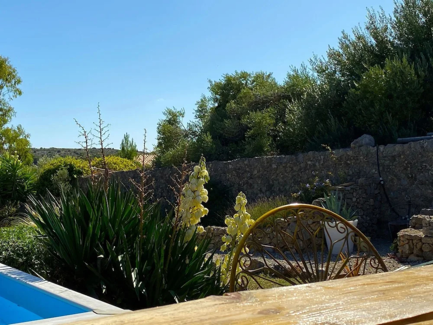 Tipi Lounge and breakfast