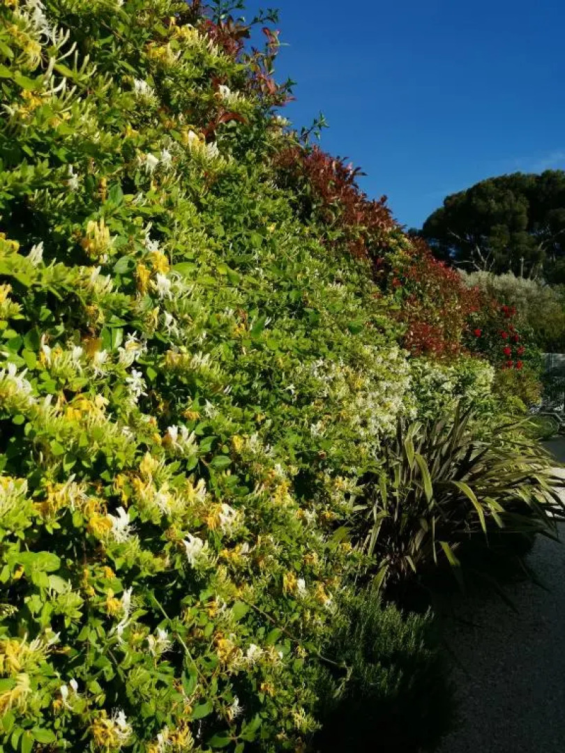 Chambre d'hôtes LE SECADOU