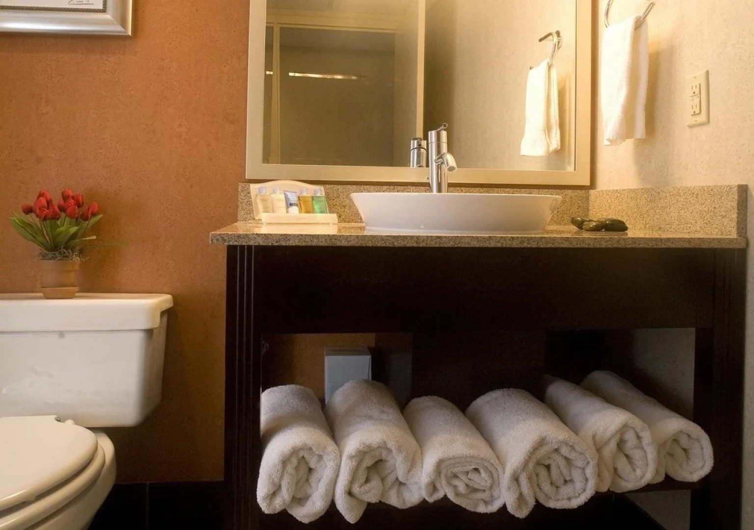 DoubleTree by Hilton Springfield