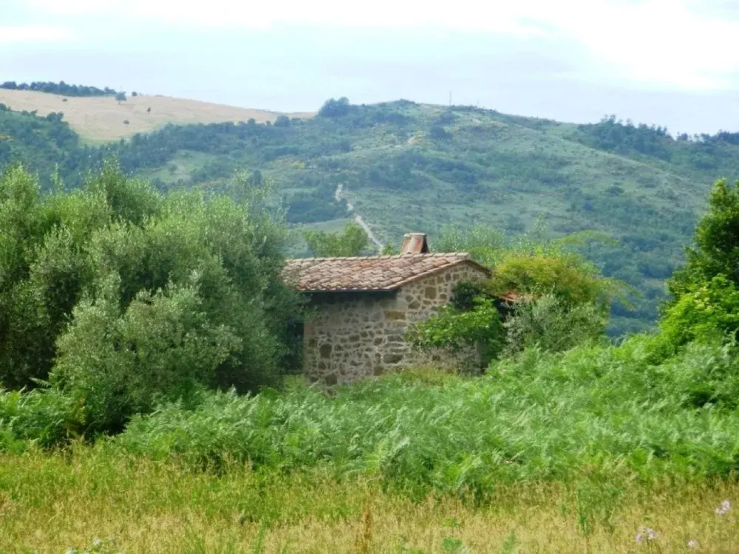 Podere Di Maggio - Santa Fiora Countryside
