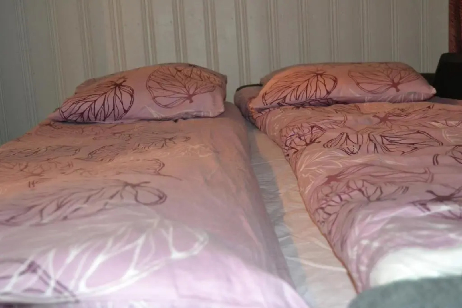 House Olkka by the river