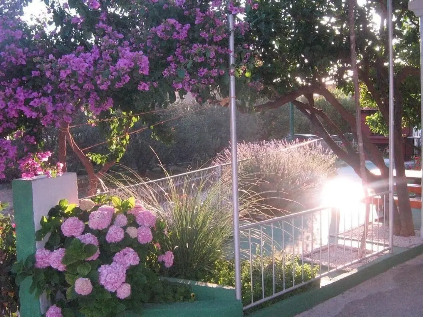 Ivan Z - 120m From the sea - A1