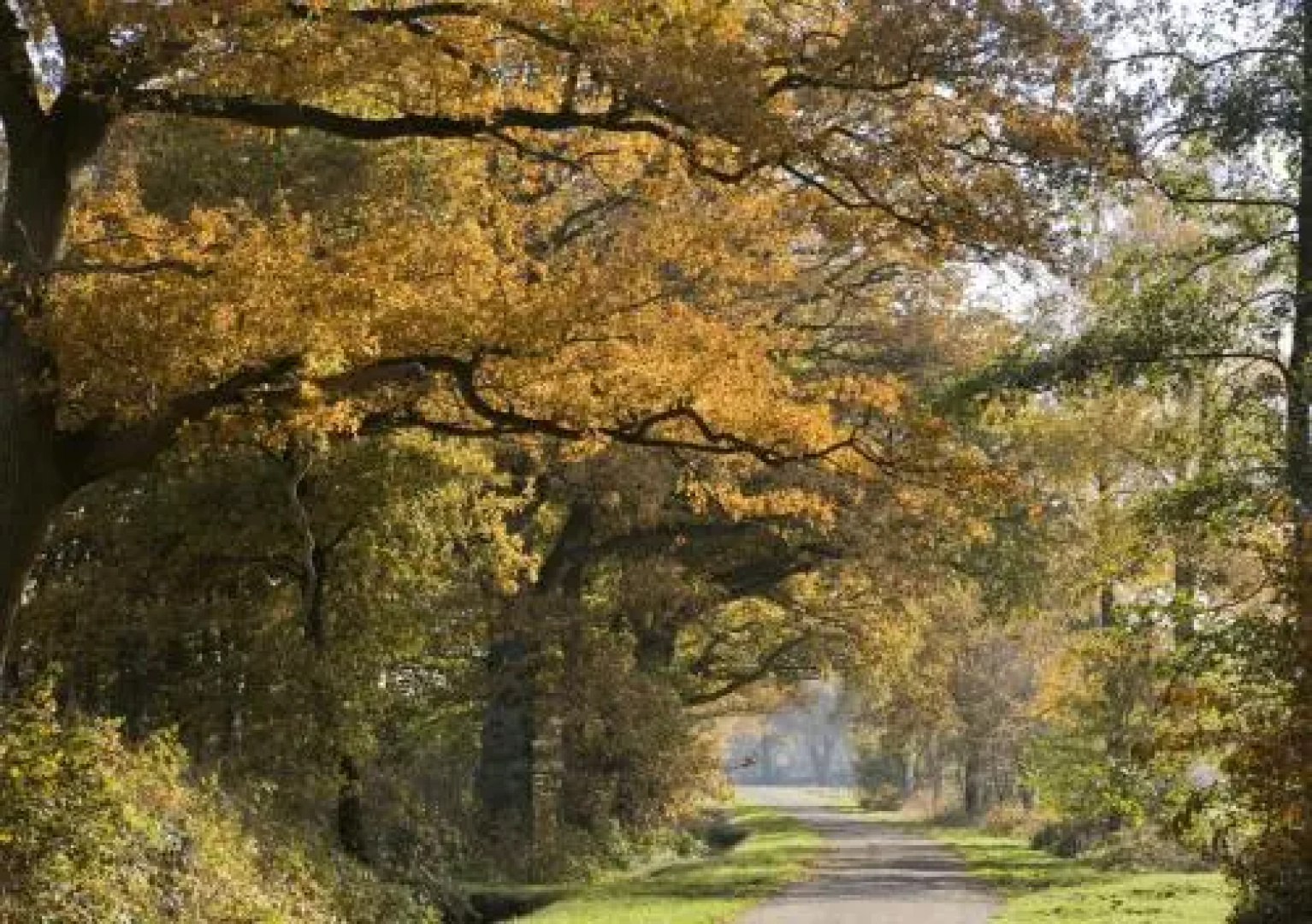 Buitenherberg ter Linde