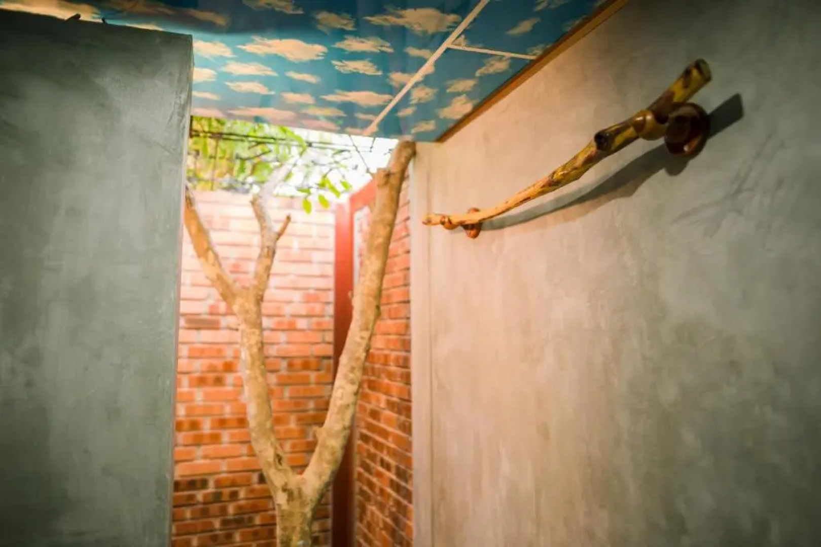 Vu's Homestay Phong Nha