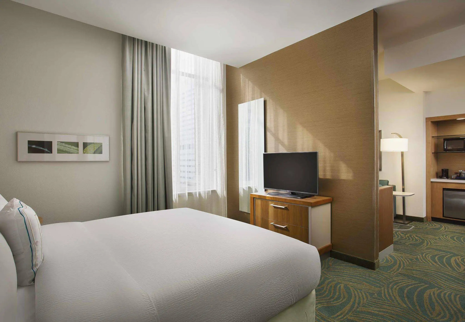 Springhill Suites by Marriott Houston Dwntn/Convention Cntr