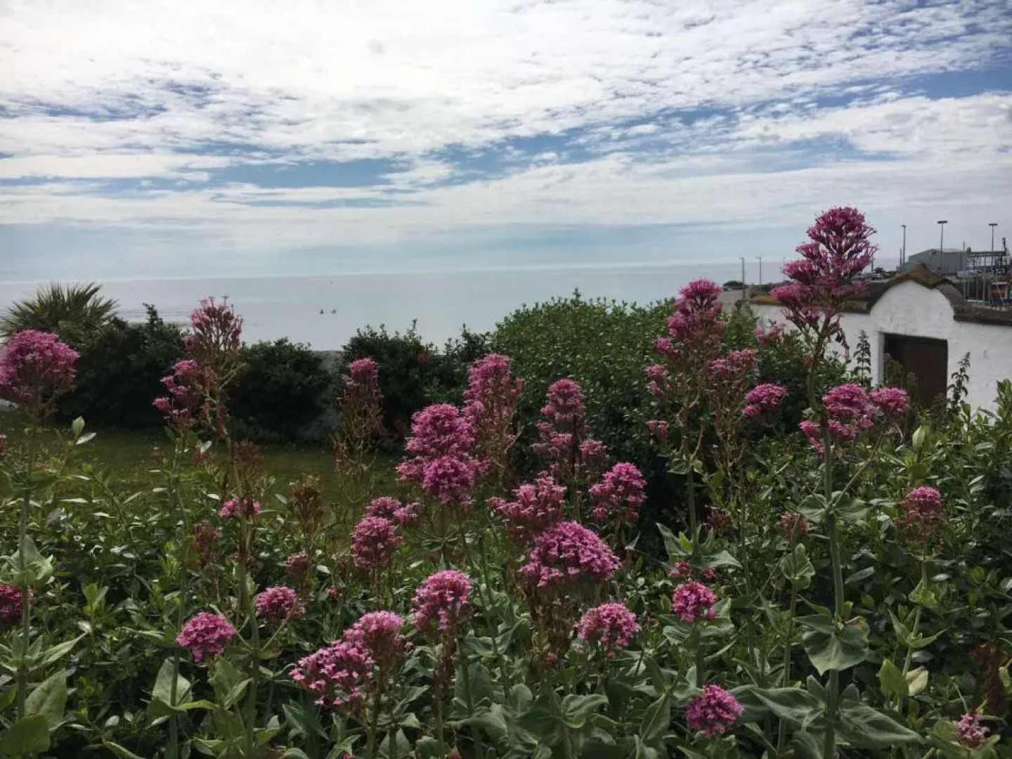 The Wooden House Hotel