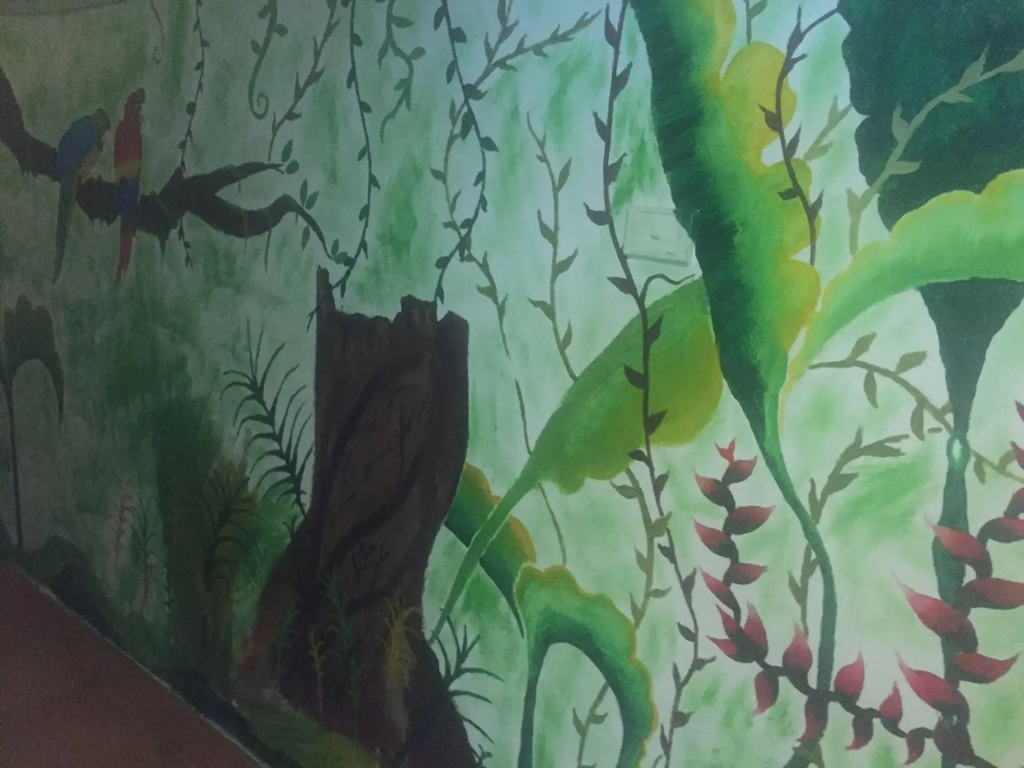 Funky Jungle Hostel
