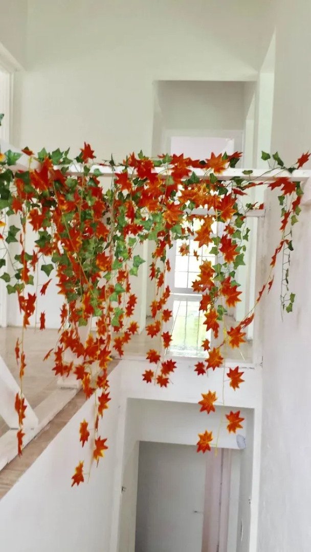 Bamboo - Sleeps 6 - Garden - Parking