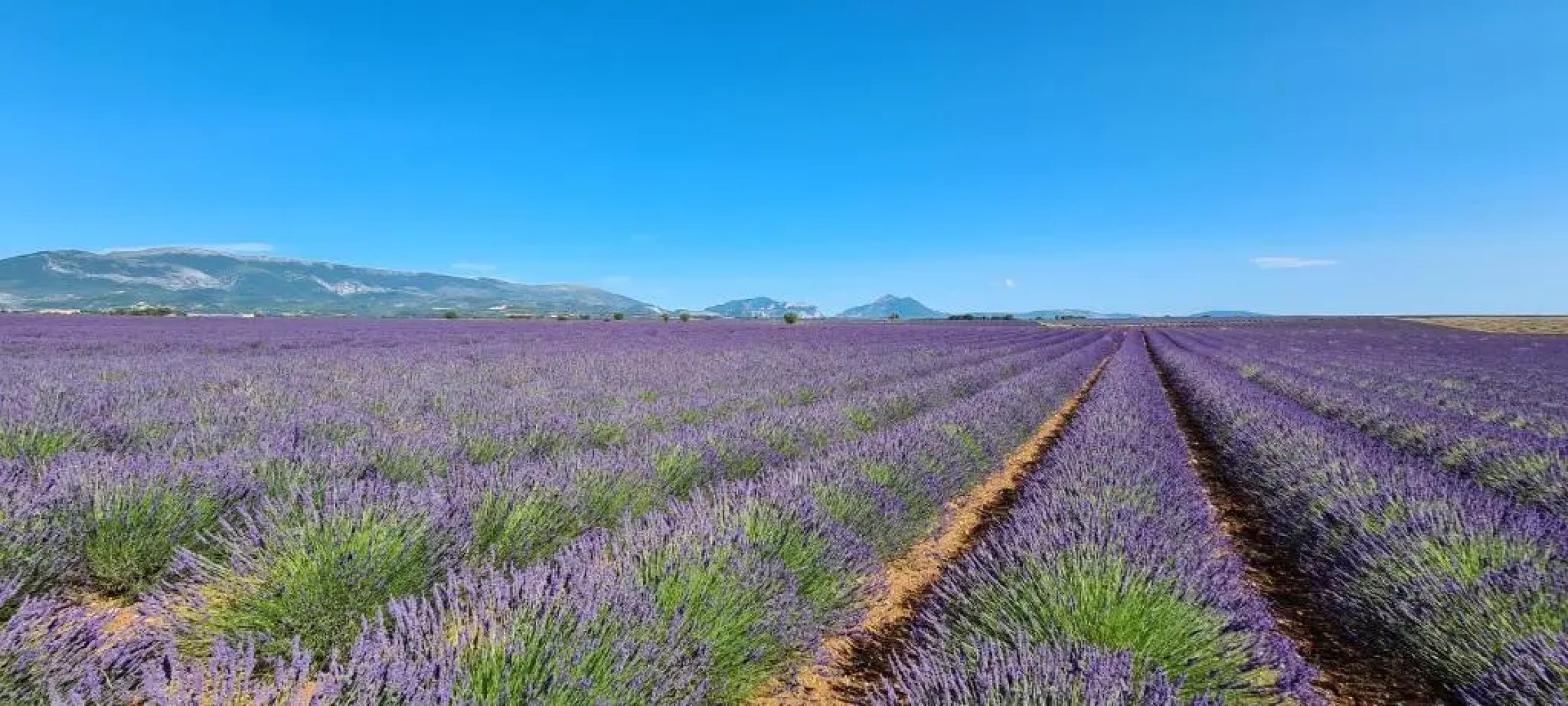 Residence T2 Du Golf De Digne