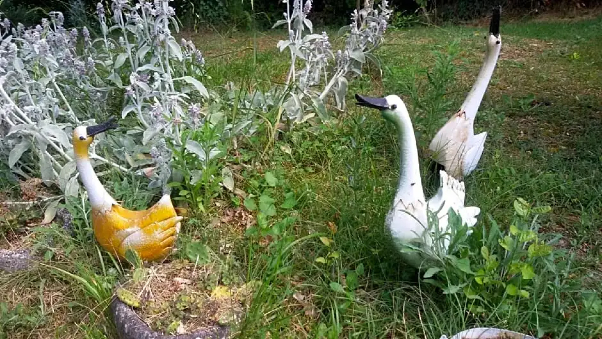 Roulotte Zelena Hora