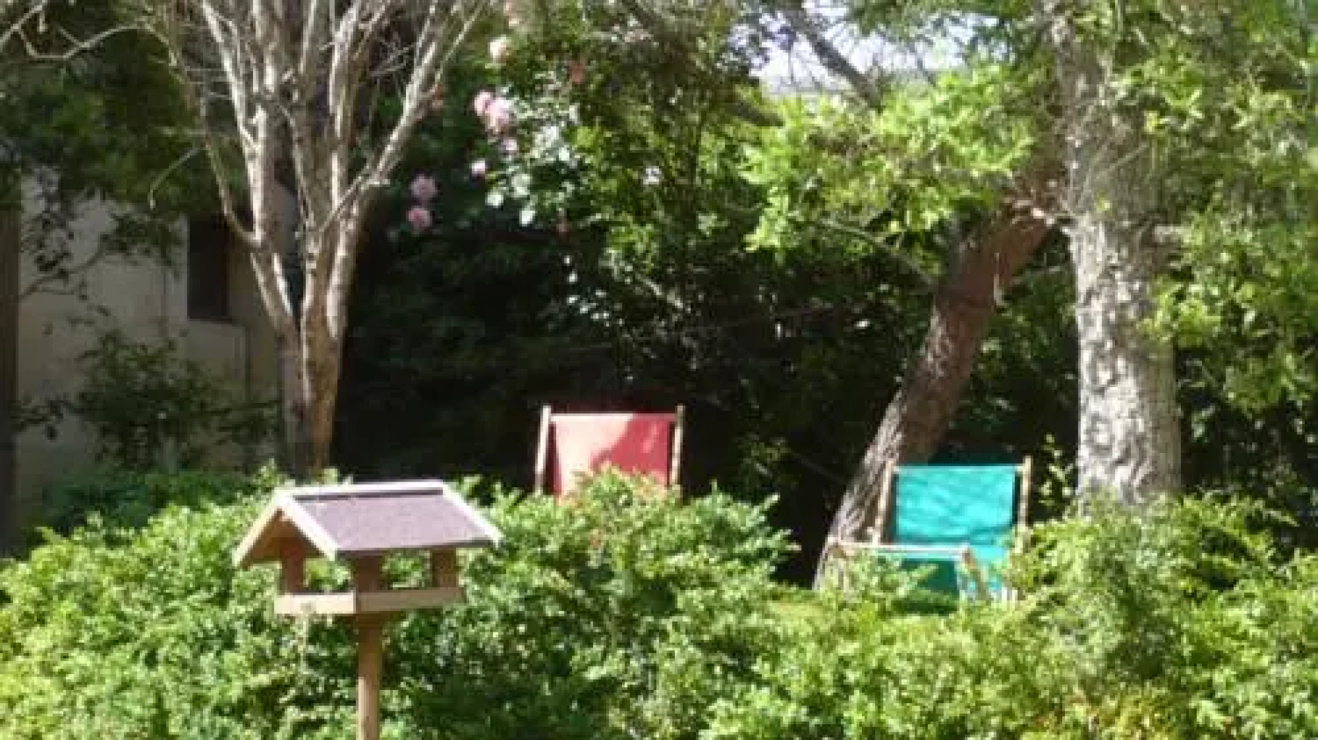 Hotel Particulier des Arènes