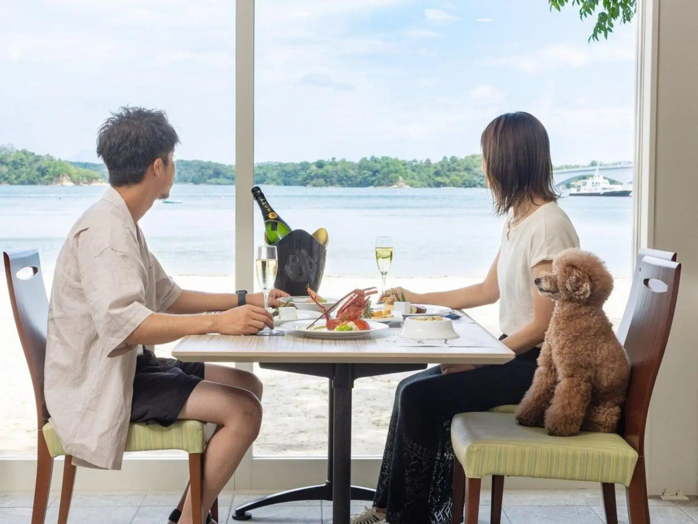 Pet Resort Brains Amakusa