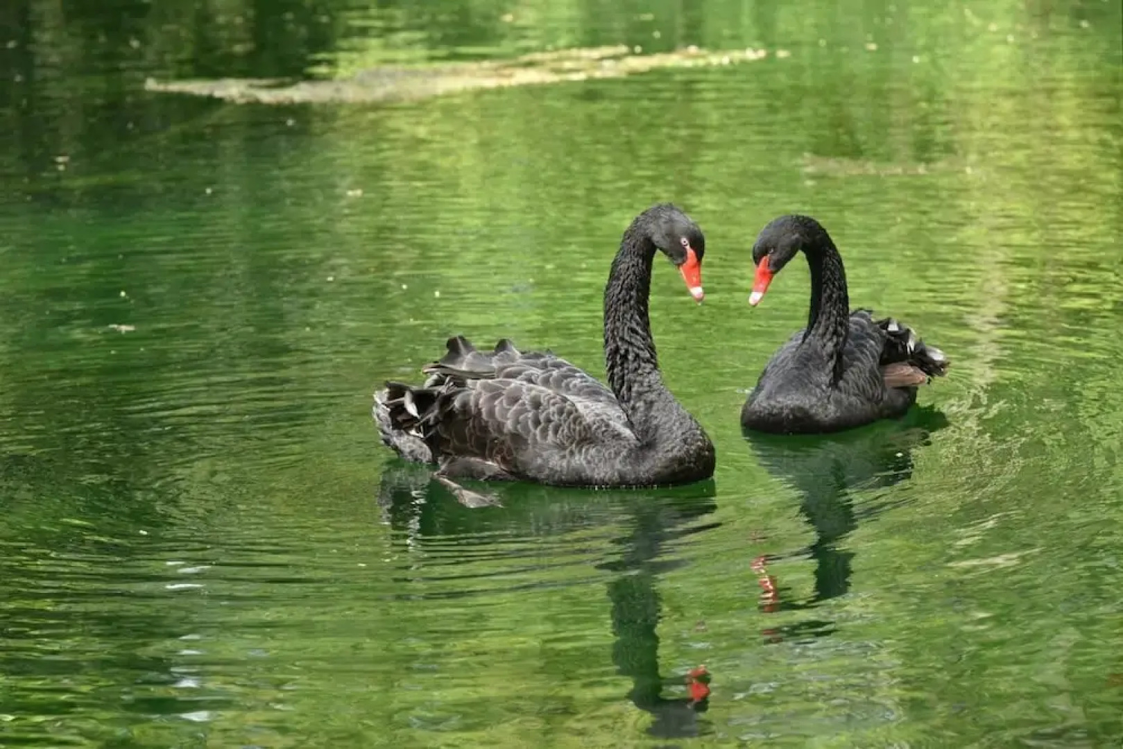 Château de Grand Tonne