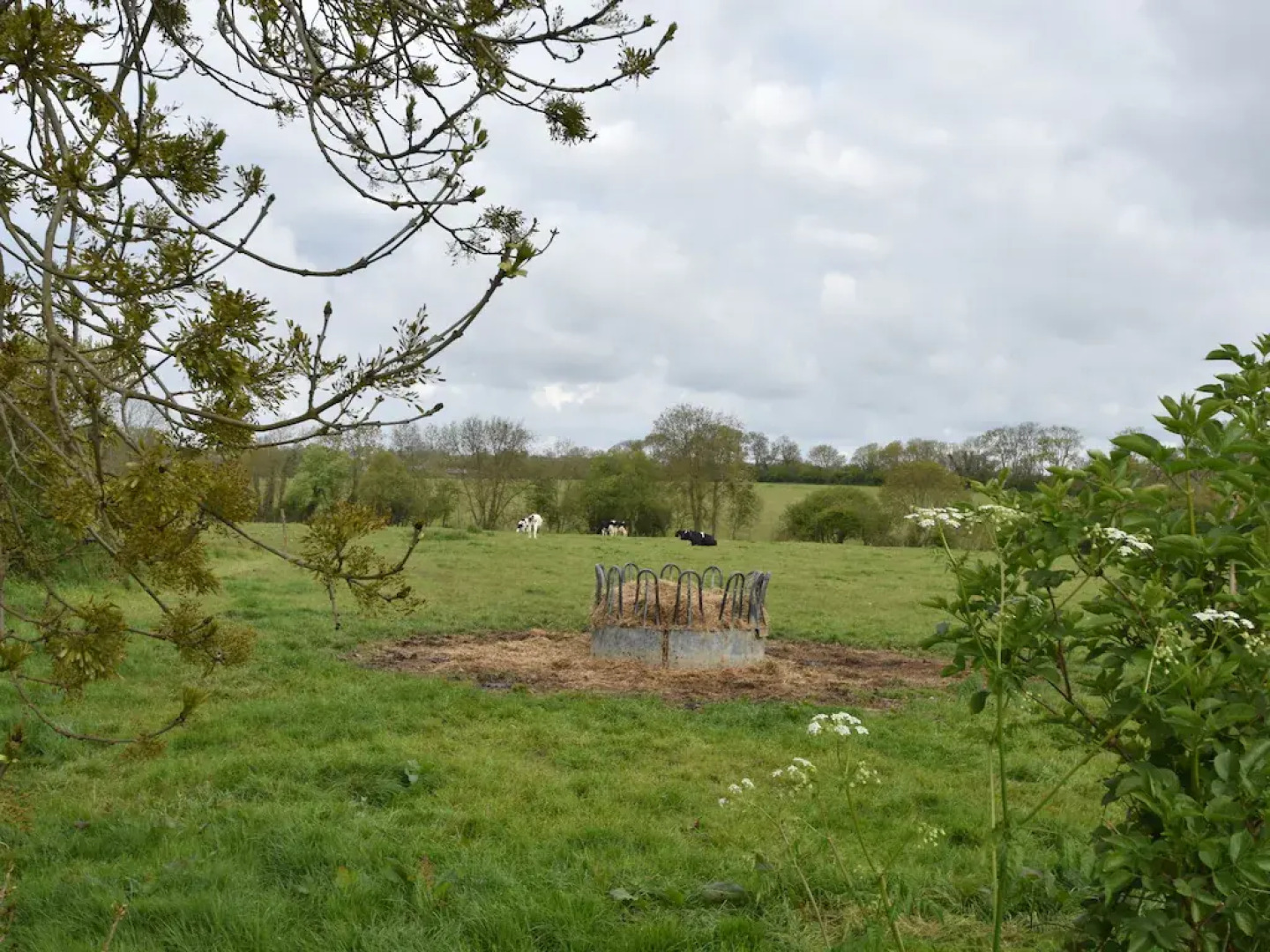 Cozy Cottage in Fresville With Garden