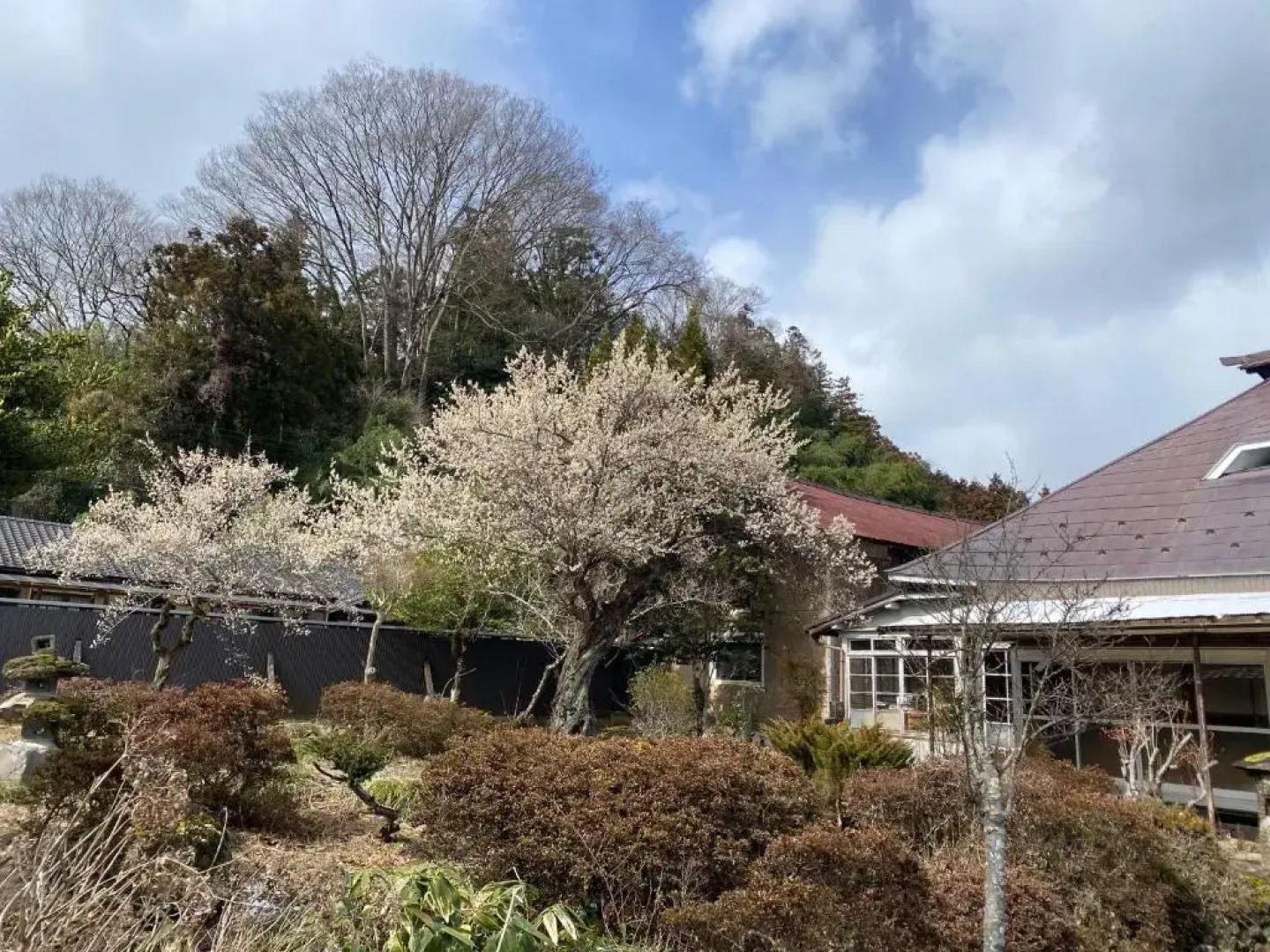 Takeyashiki たけやしき