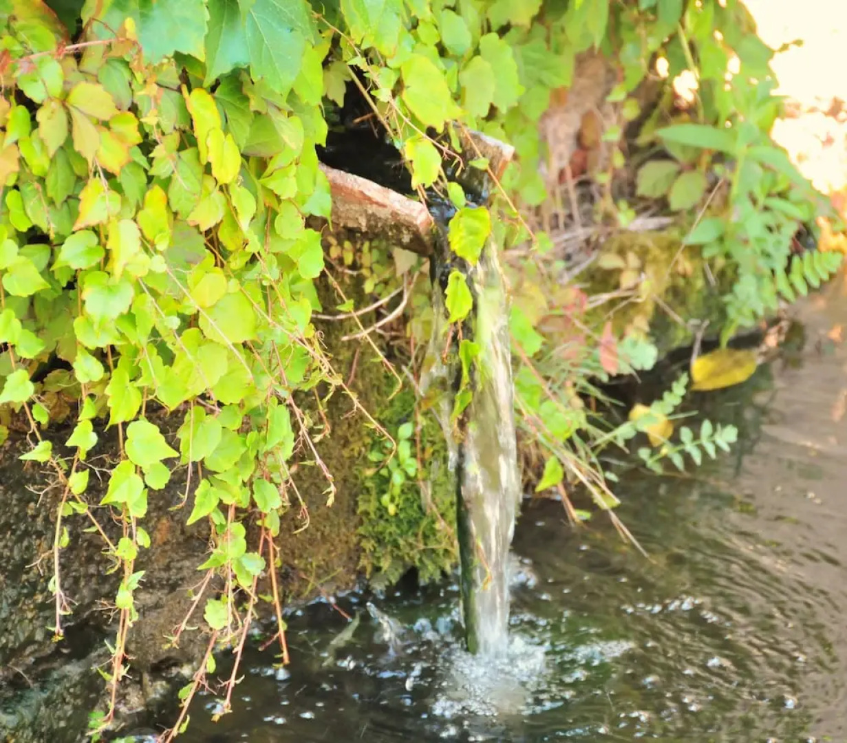 Fonte dell' Vsignolo