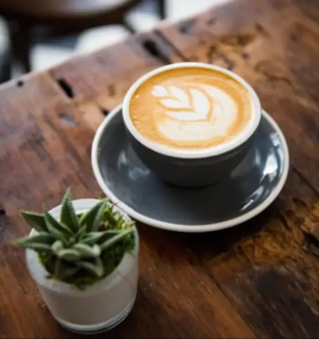 Catahoula Hotel New Orleans