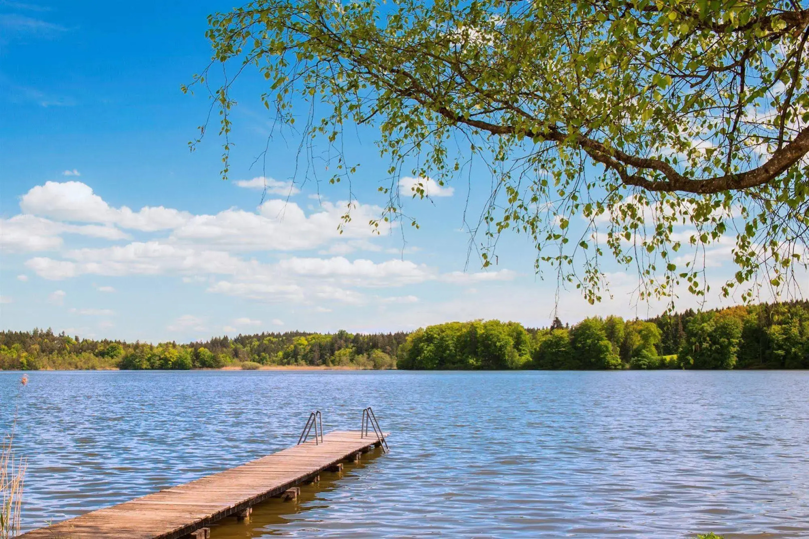 Aktiv- und Wellnesshotel Seeblick