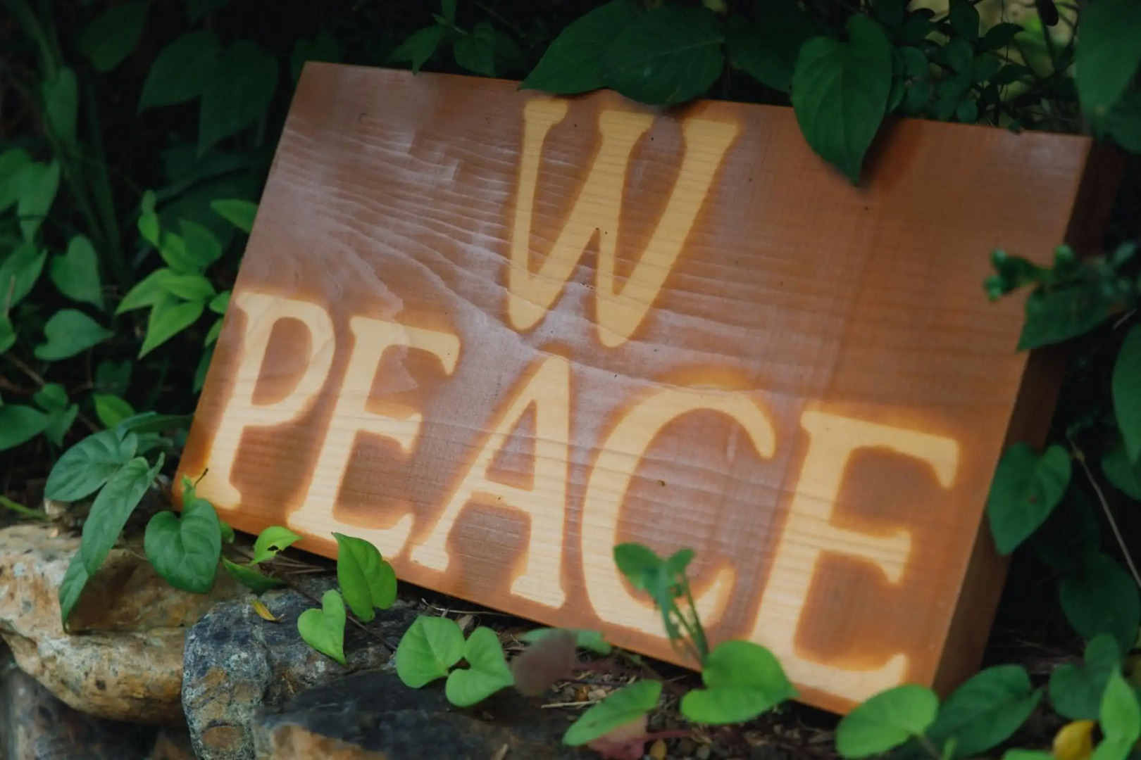 Wぴーす（W Peace)