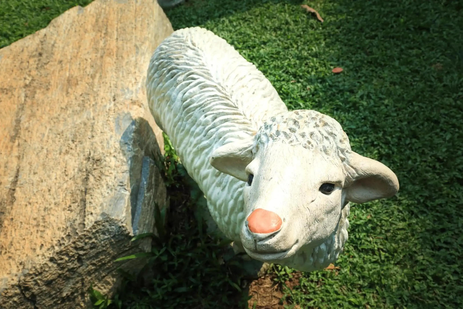 The Pino Hotel Pak-Chong