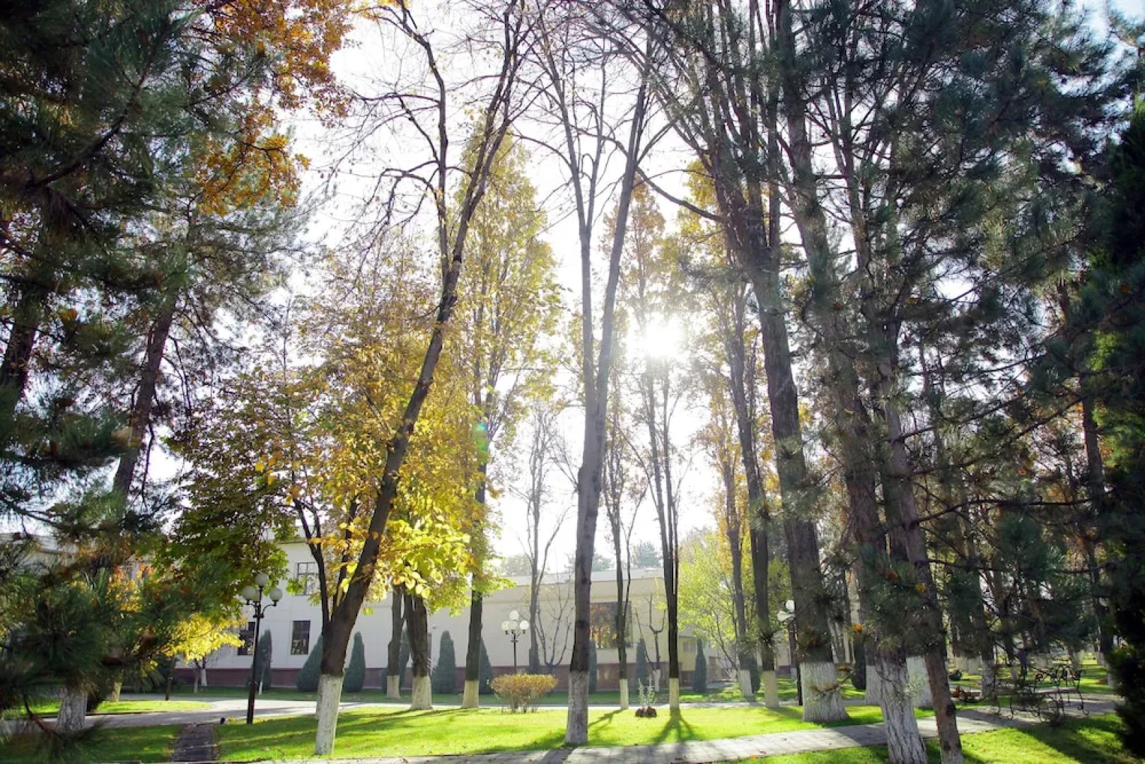 Отель Residence Park