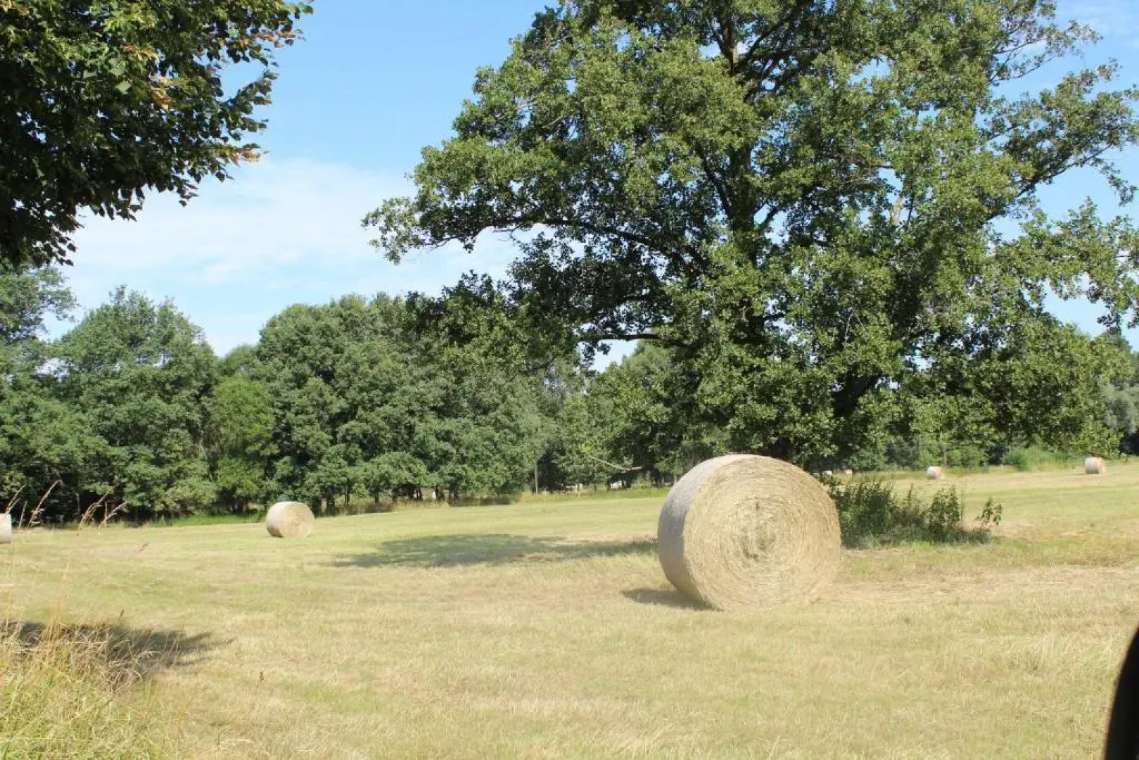 Walnußhof