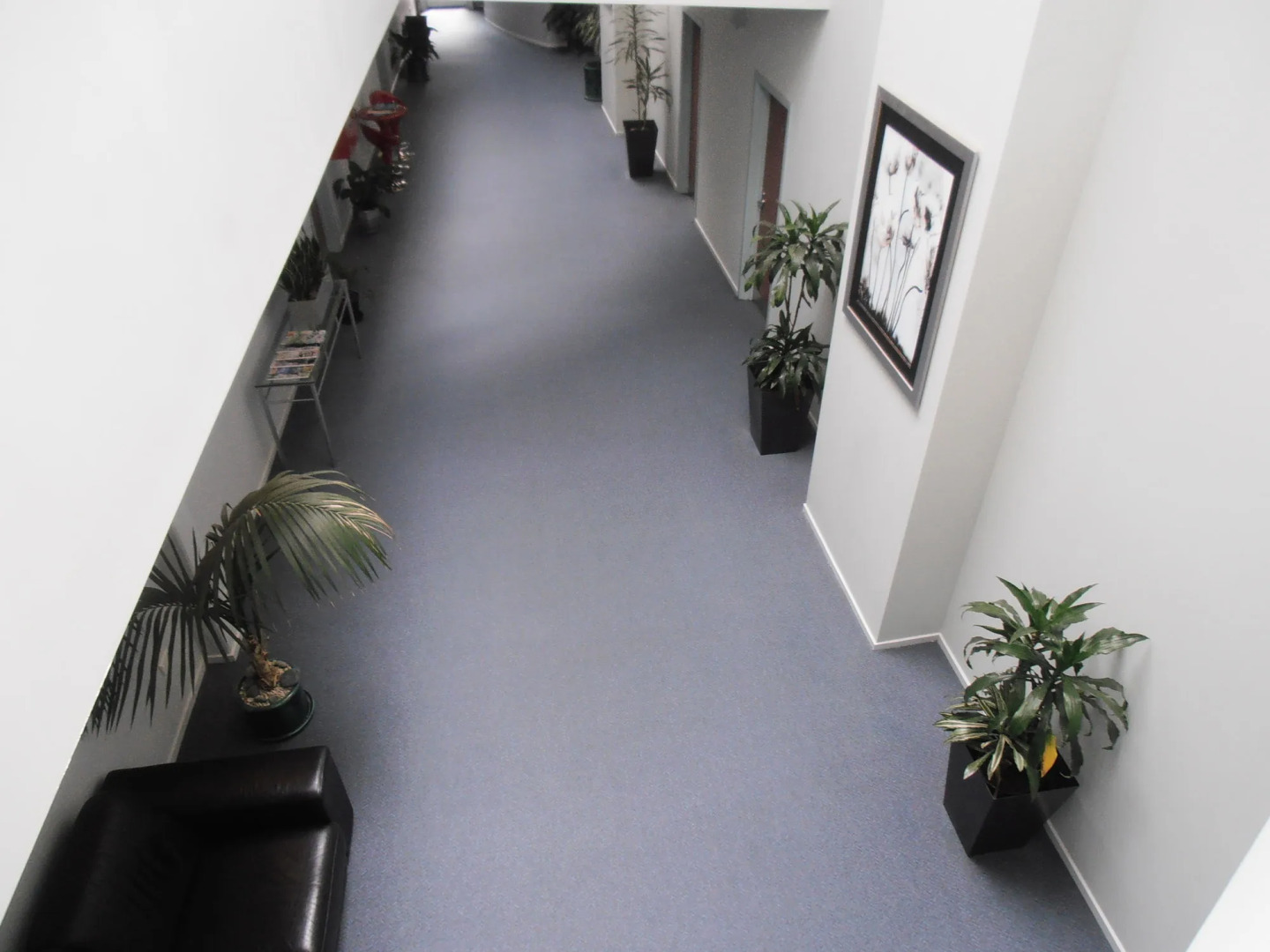 Best Western Wellington