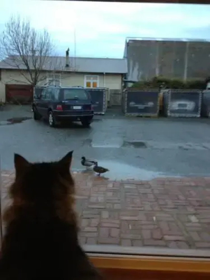 Neptunes Backpackers