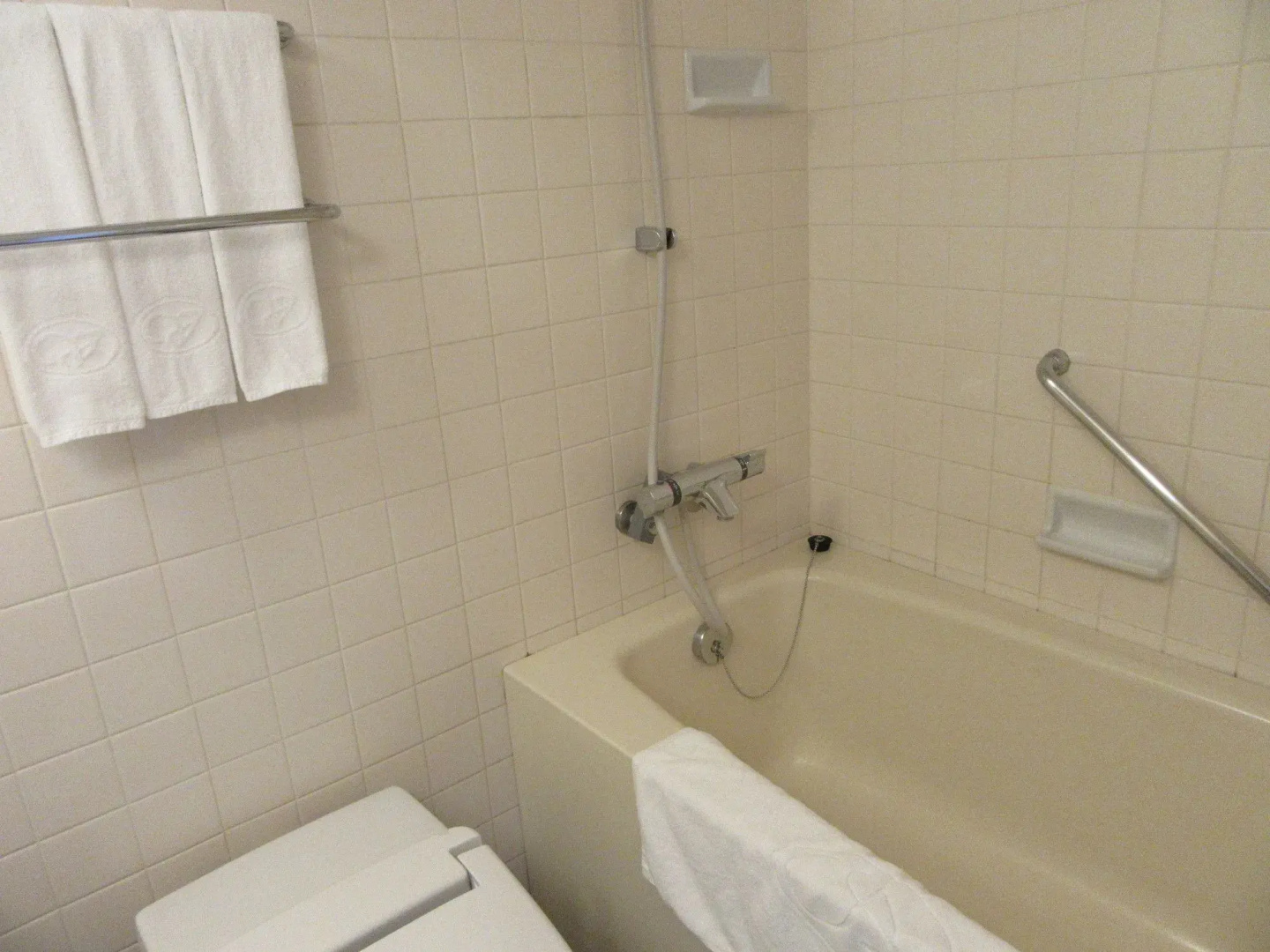 Отель Sapporo View Hotel Odori Park