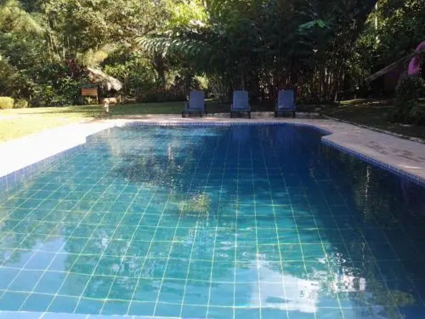 El Abrazo del Arbol - Farm Eco Lodge