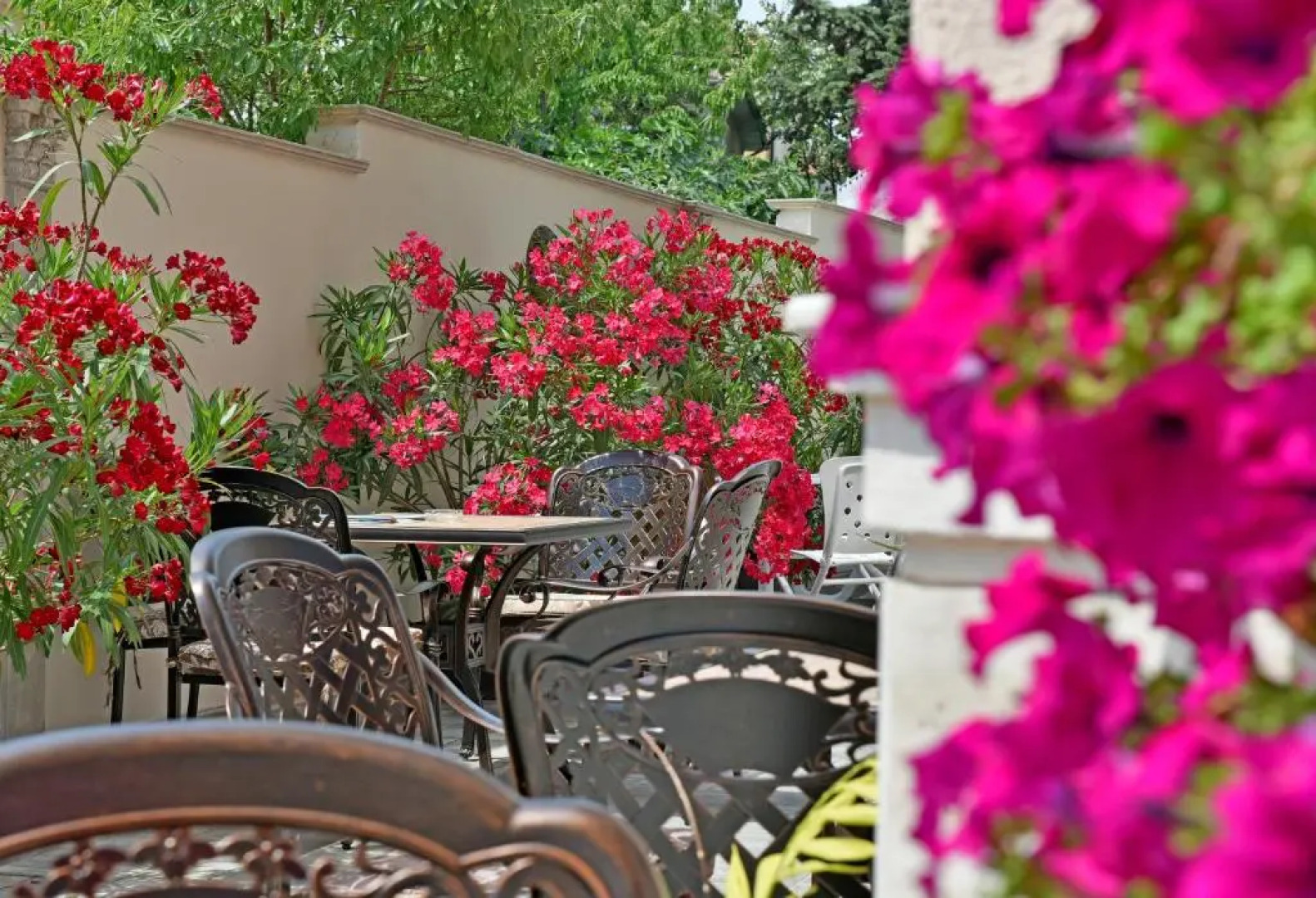 Family Hotel Sirena Palace