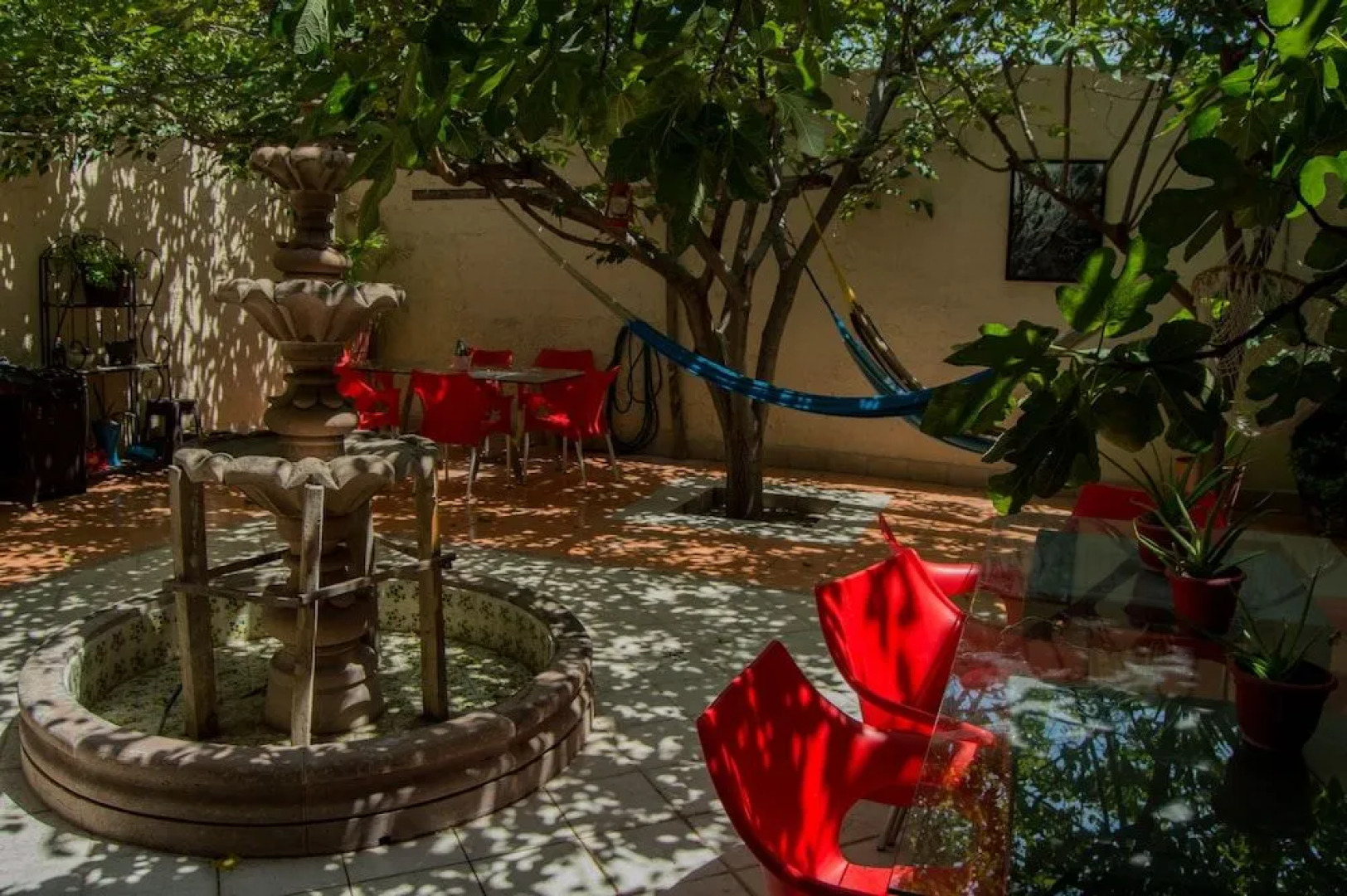 Paqui Bed & Breakfast