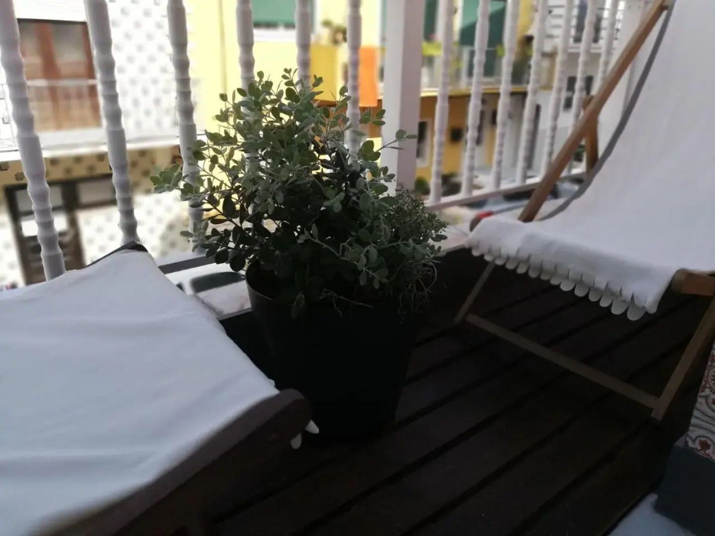 O VIOLAS — Tapas & Bed