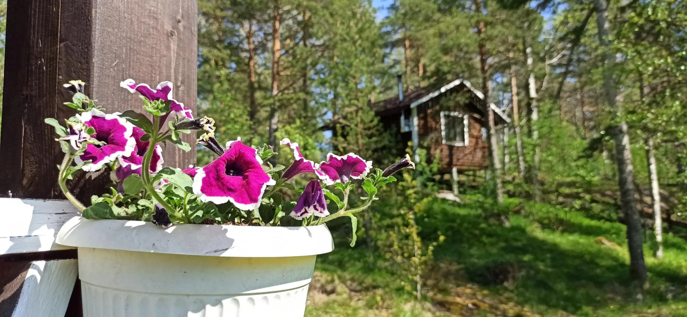 Домик в Харвиа