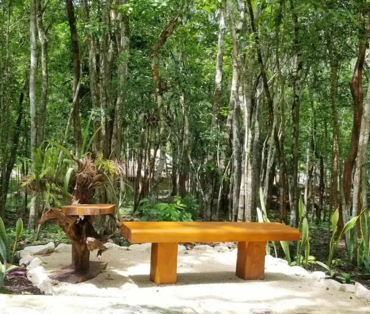 Hotel cabañas aldea maya