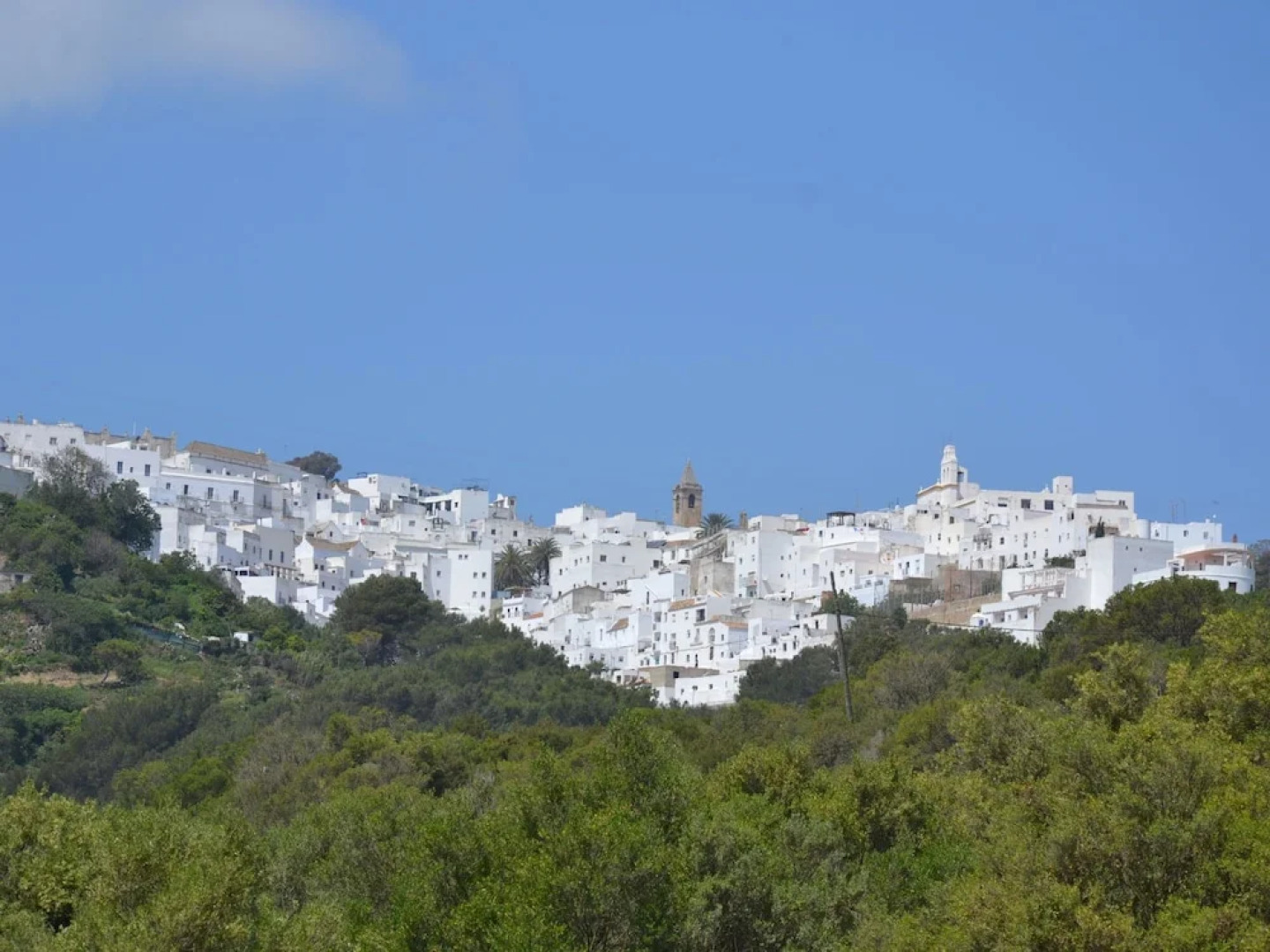 Luxurious Villa in Vejer de la Frontera With Swimming Pool