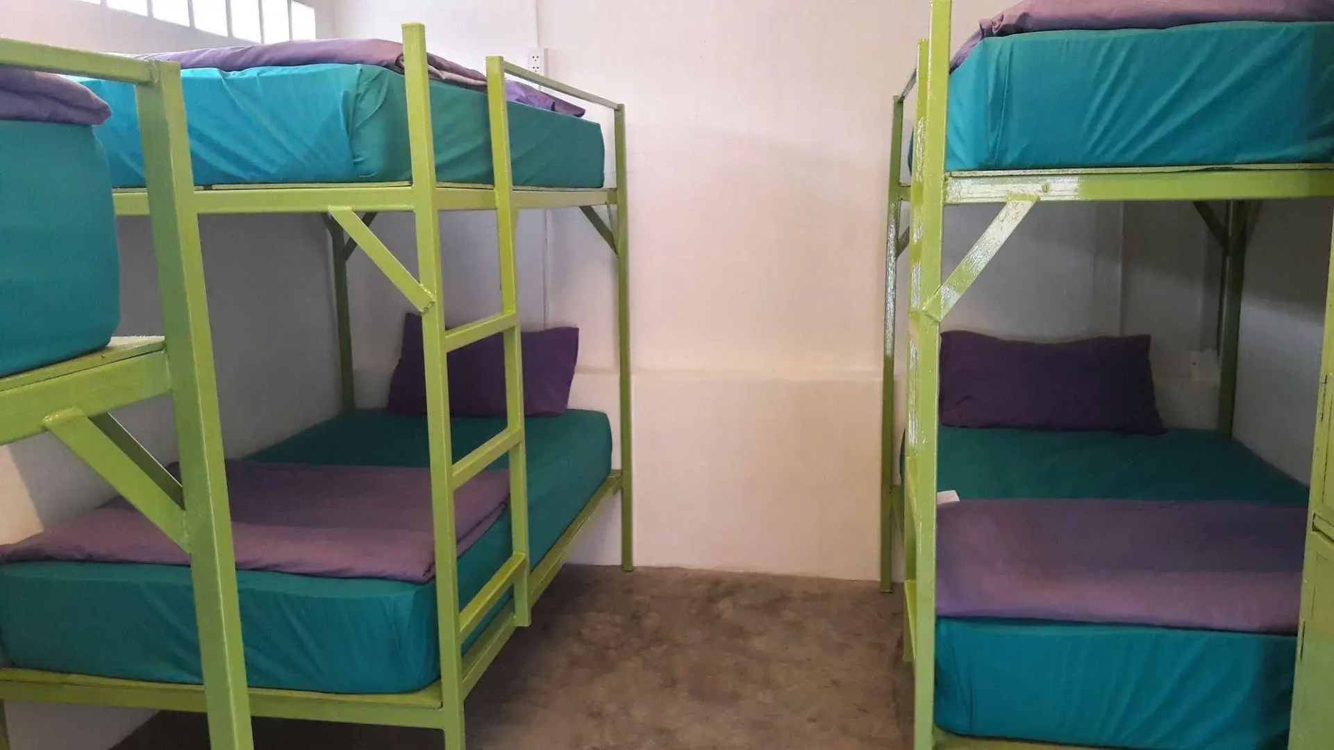 Purple Monkey Backpackers