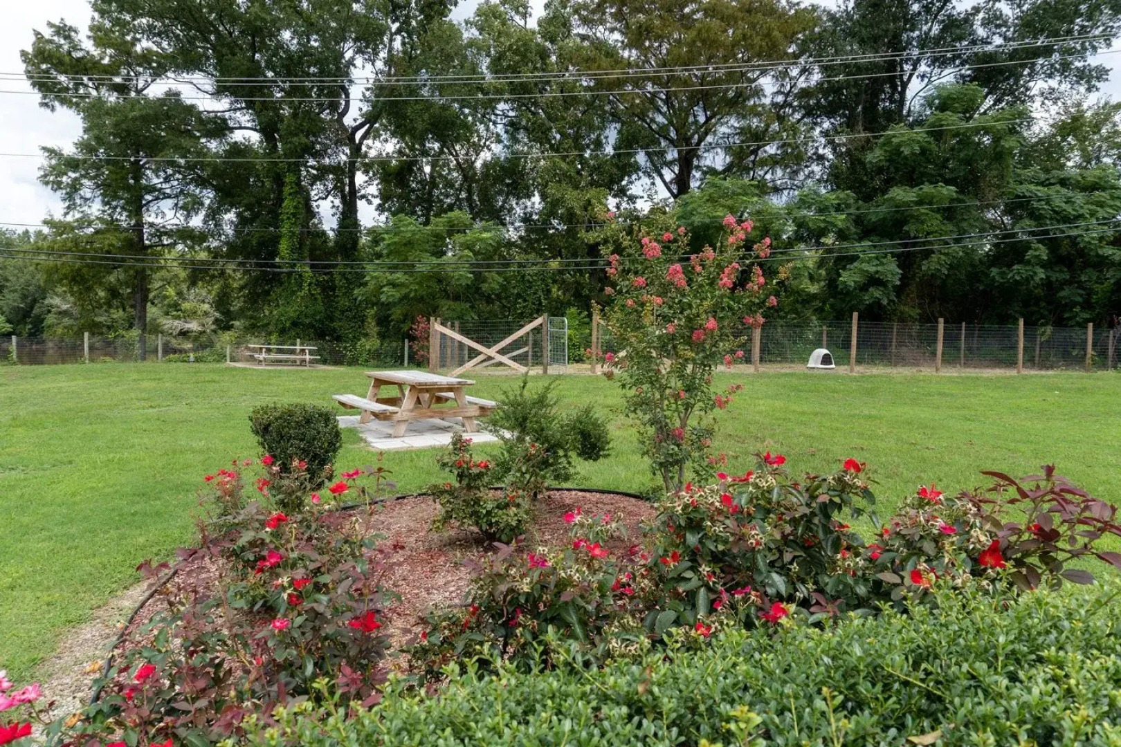 Red Carpet Inn and Suites Kinston NC