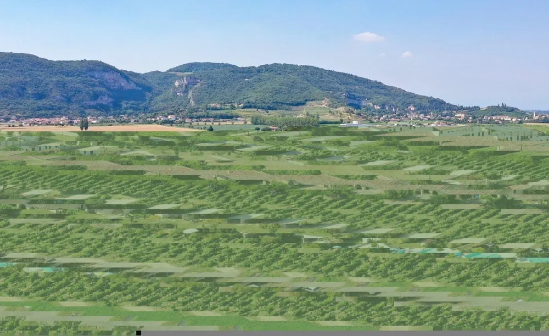 Tigli Apartment With two Bedrooms and one Bathroom on the Second Floor With 4 Metre Glass Window Apartment 6