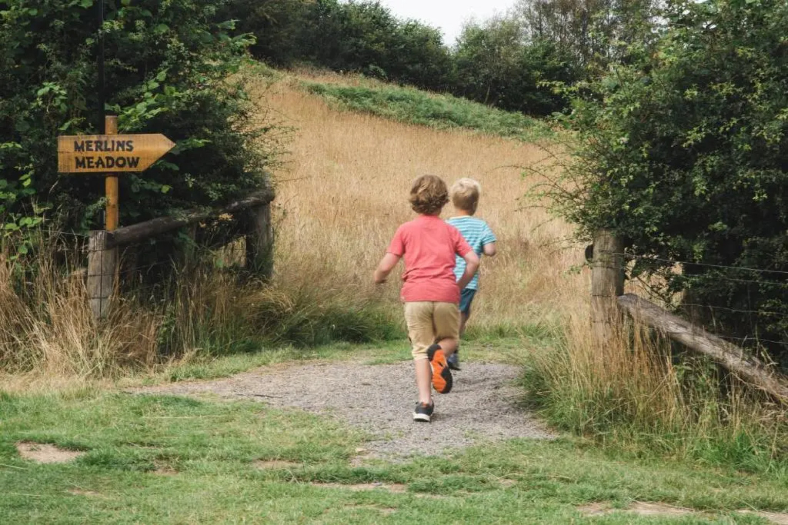 Daisy Bell Tent at Belan Bluebell Woods