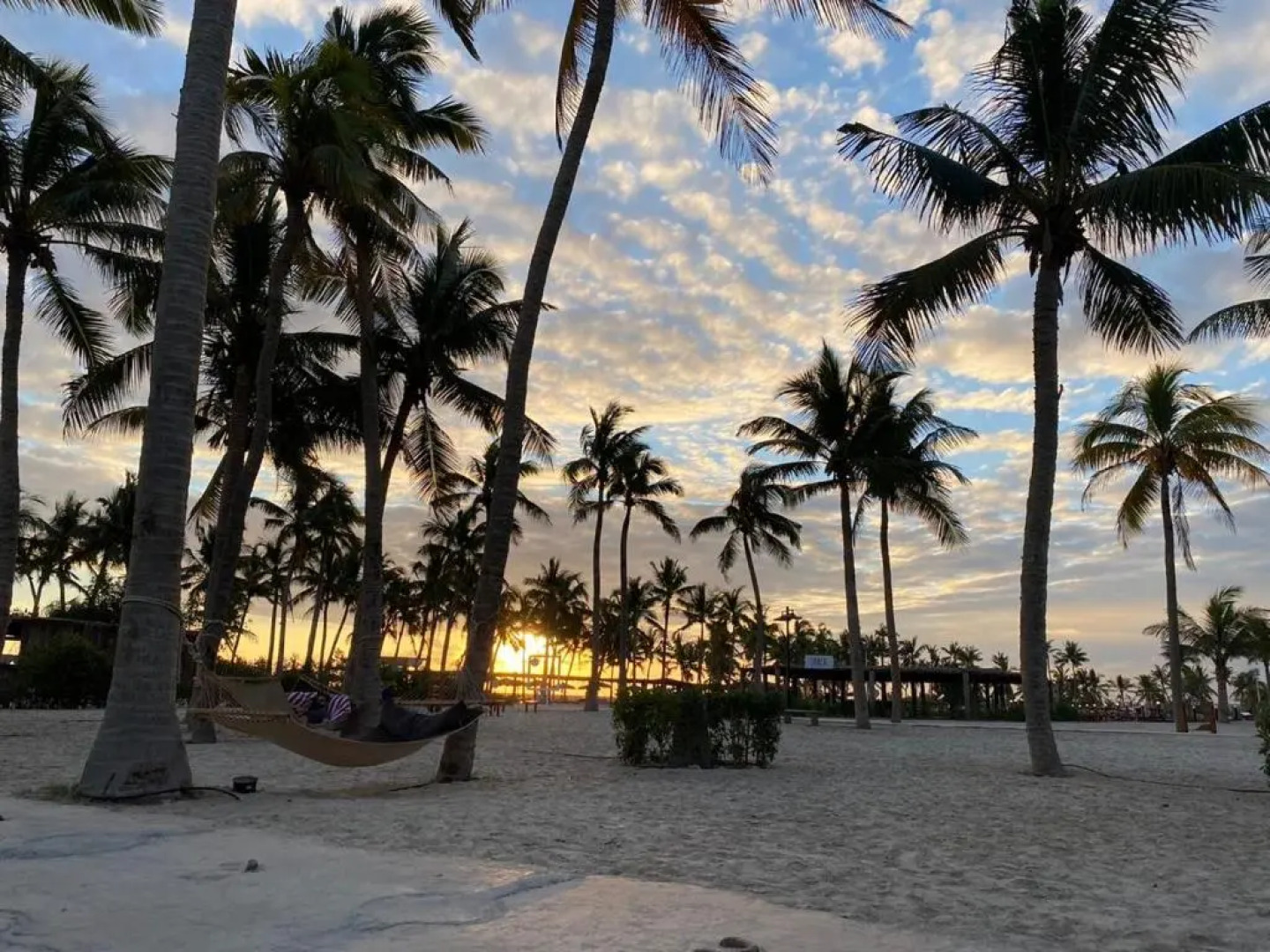 Purple Lily Studio Hawana Lagoons Salalah