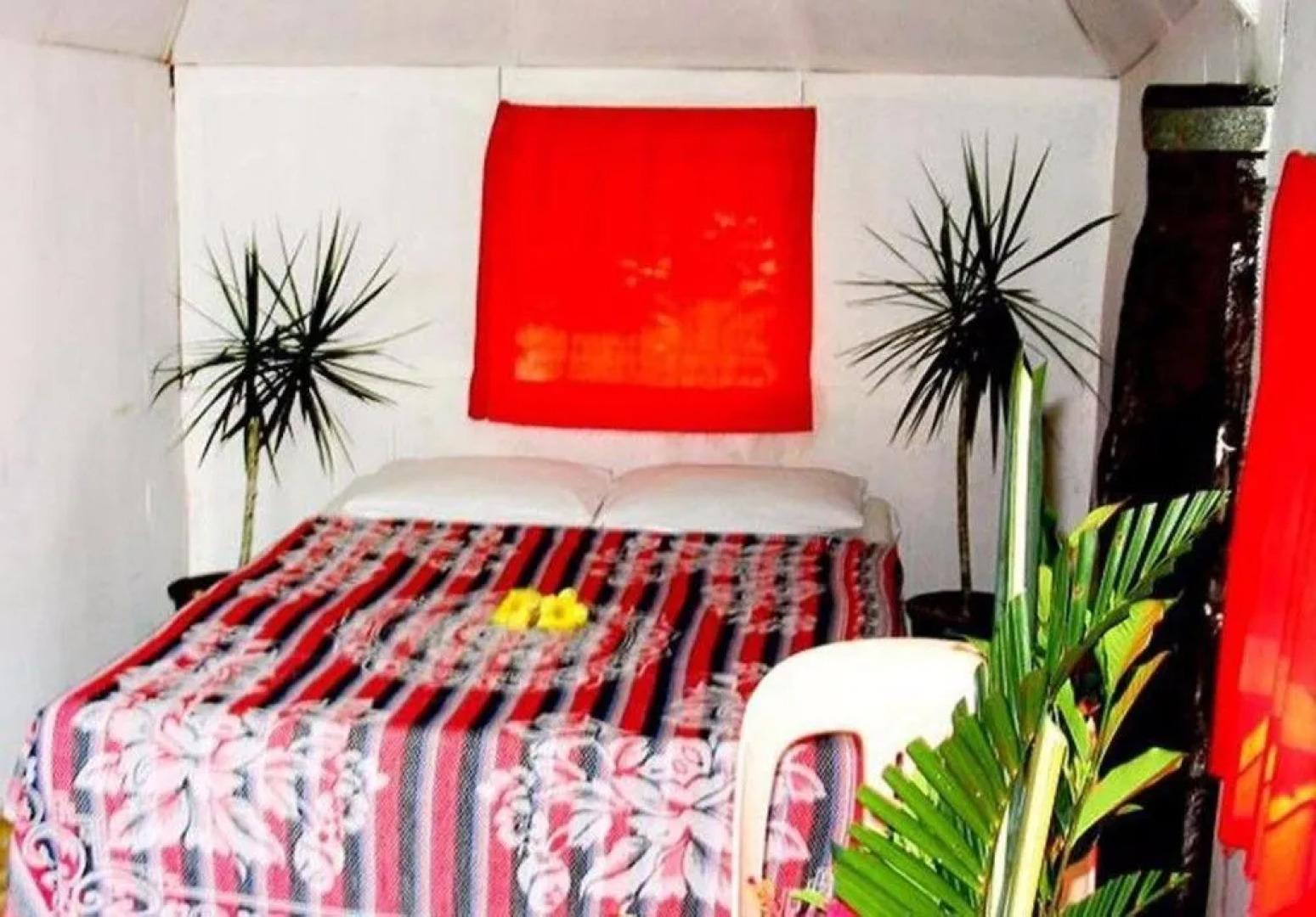 Dave Parker's Eco Lodge