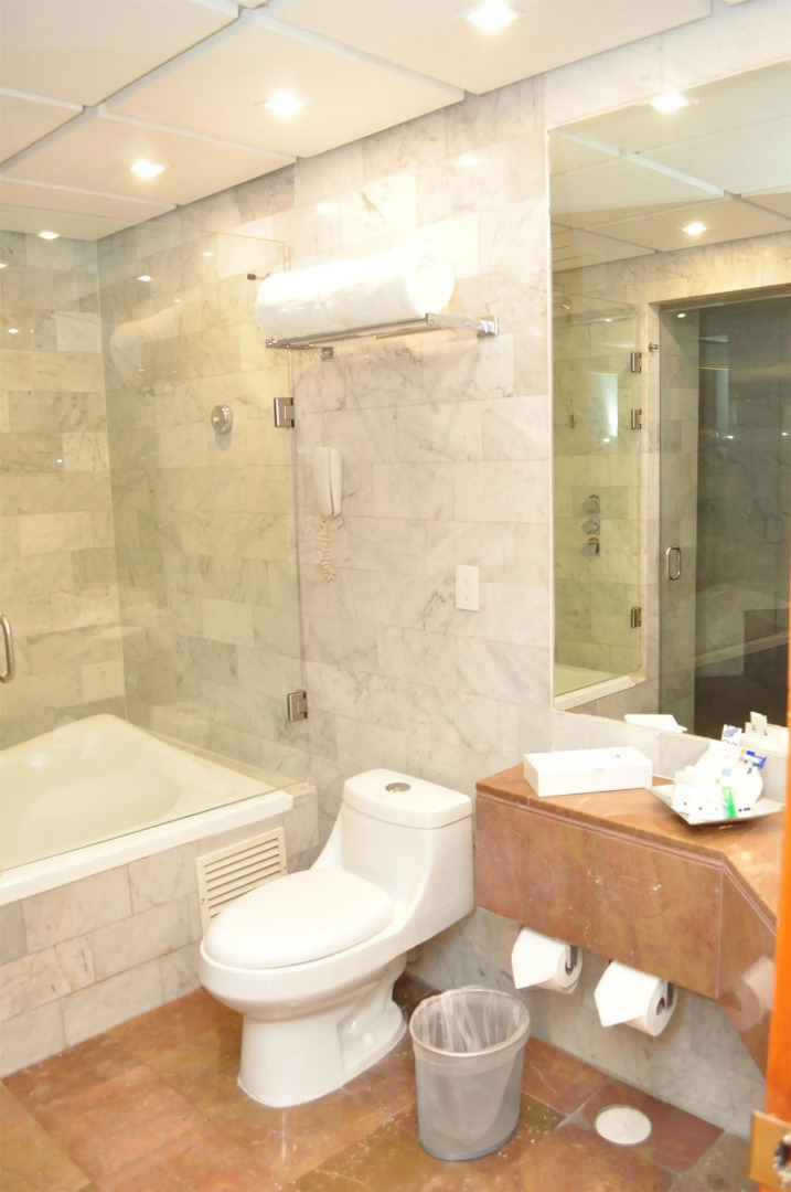 Royal Pedregal Hotel