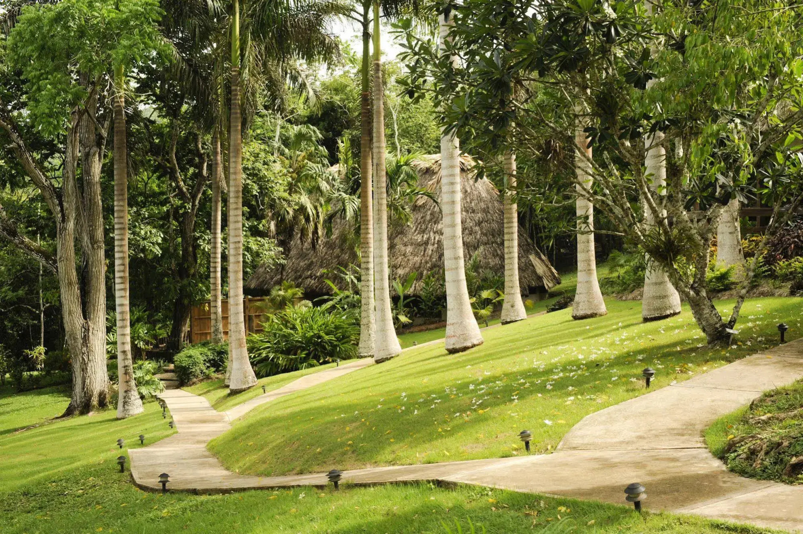The Lodge at Chaa Creek