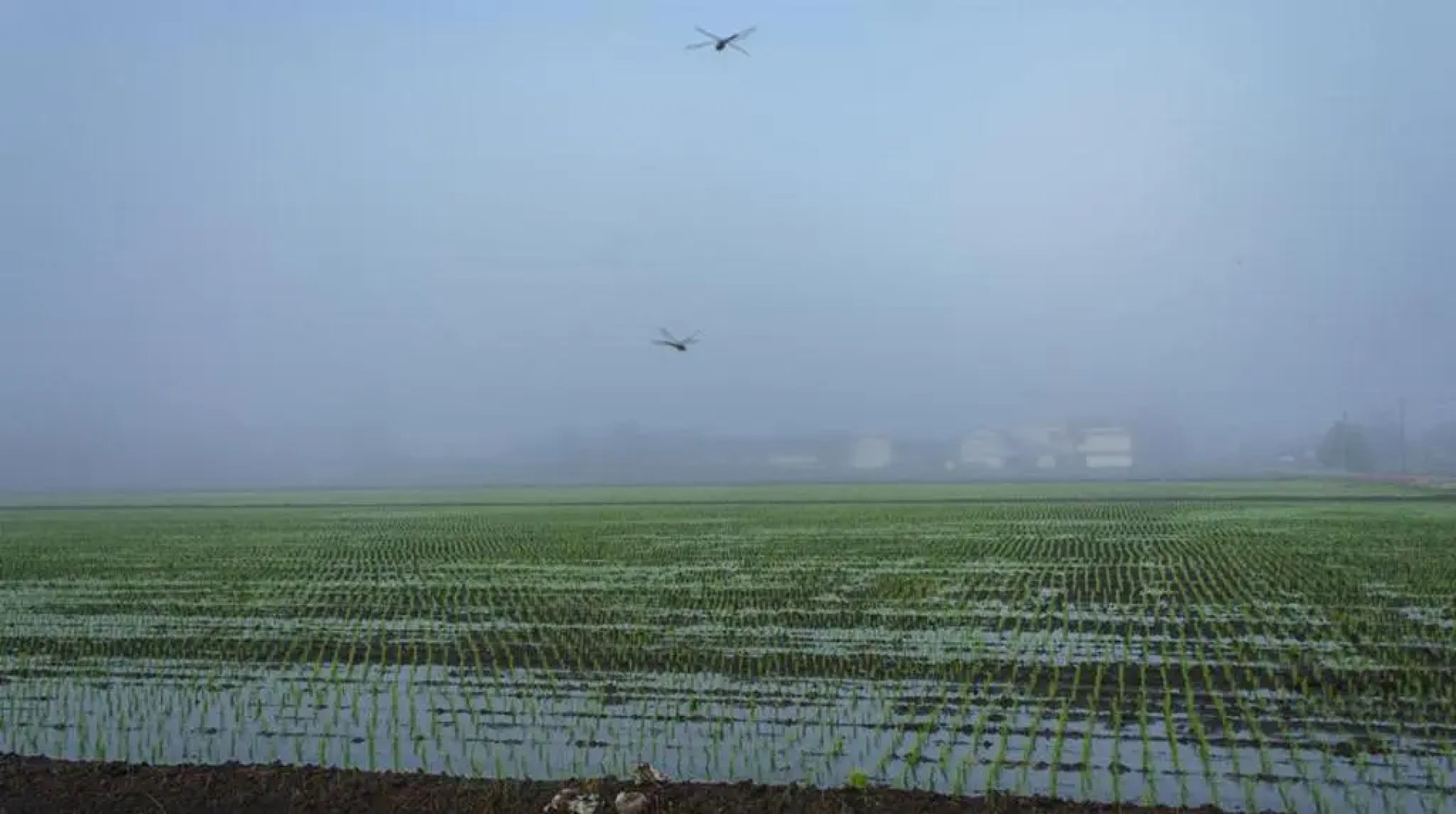 The One Boutique Hotel Sekinchan