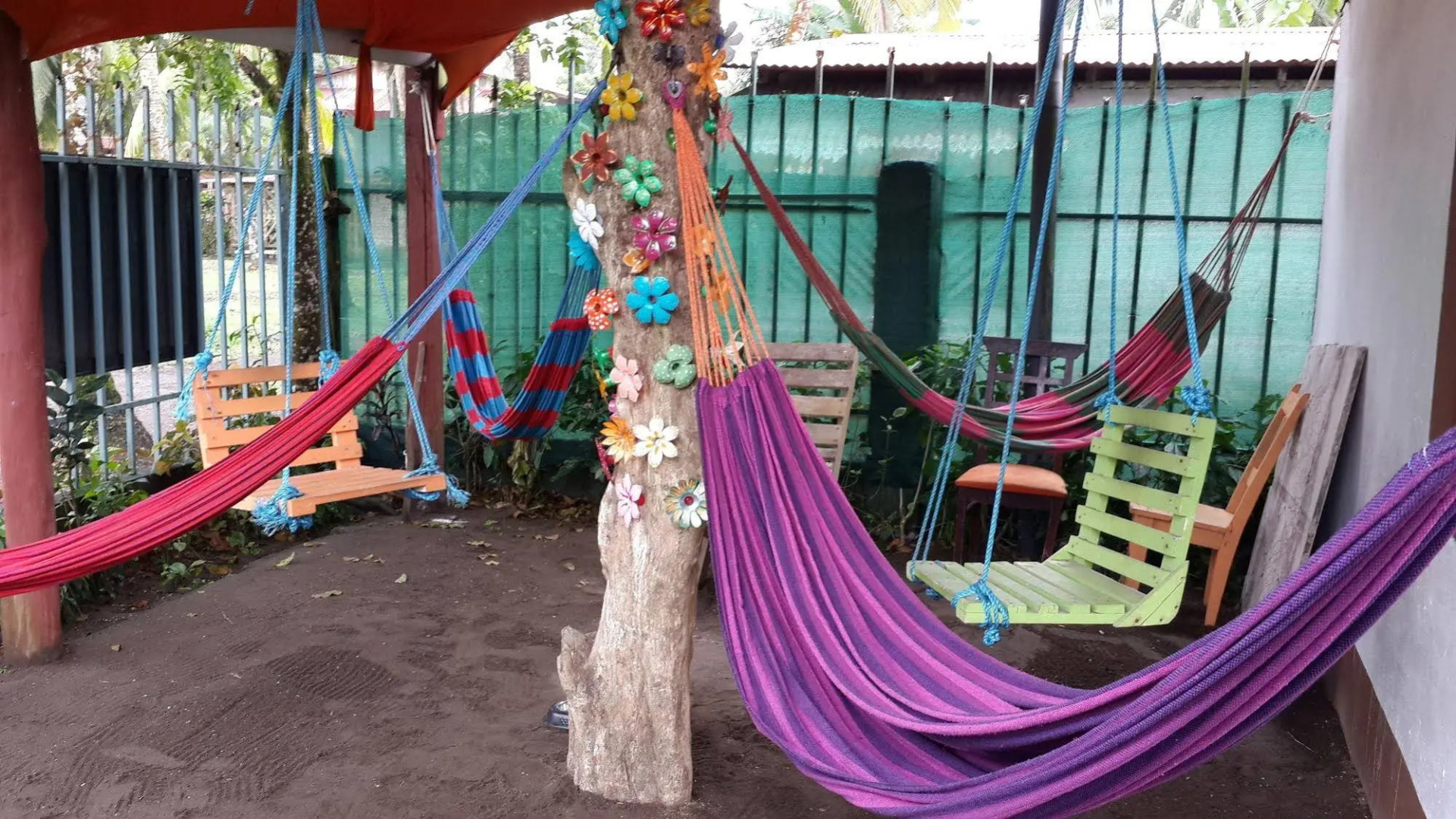 Cabinas Tortuguero Natural