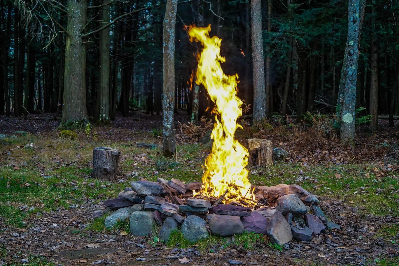 Sullivan Trail Inn & Suites