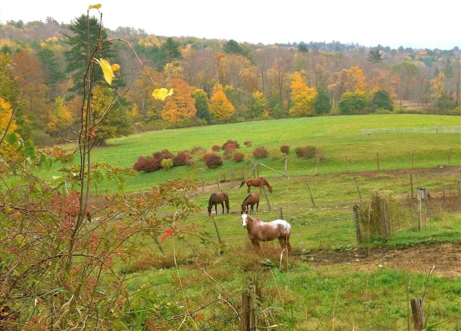 Whistler's Inn Bed & Breakfast
