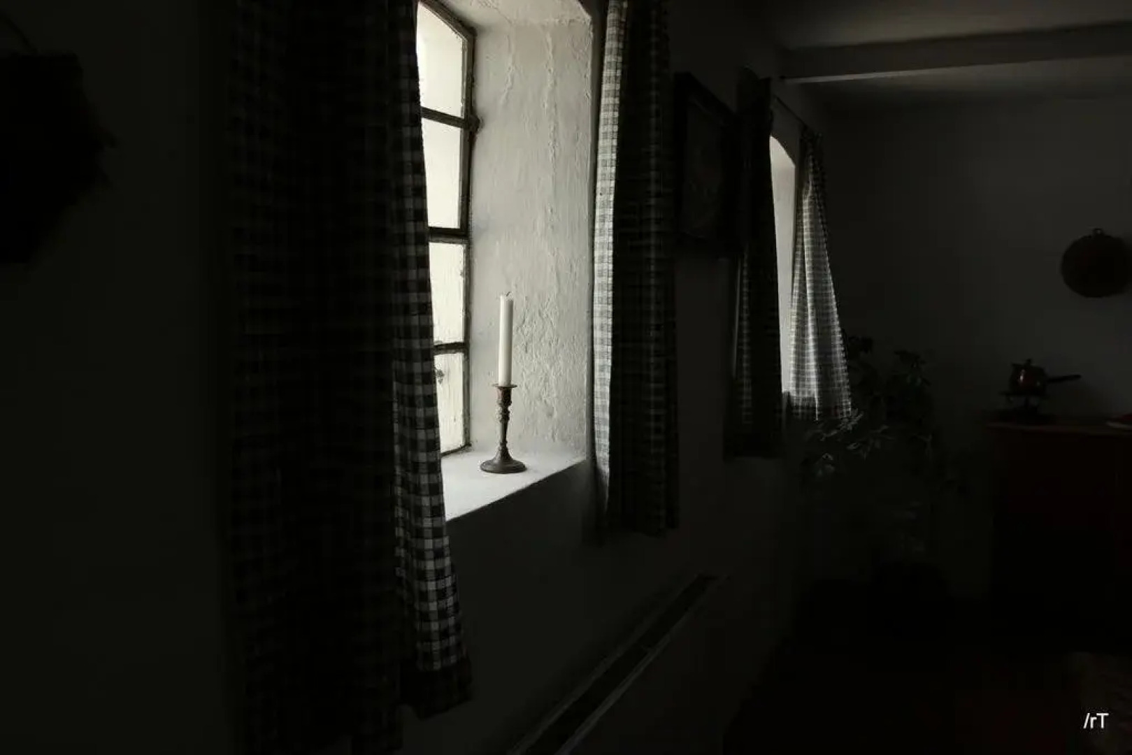 Stutteri Skandi Hest